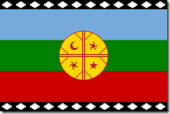 Mapuche bandera